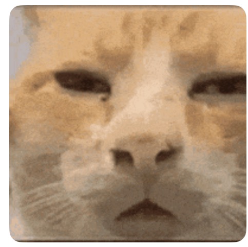 IMG_0569.PNG